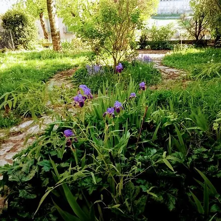 Maison Chopin Gramat