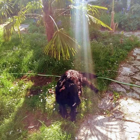 Maison Chopin Apartamento