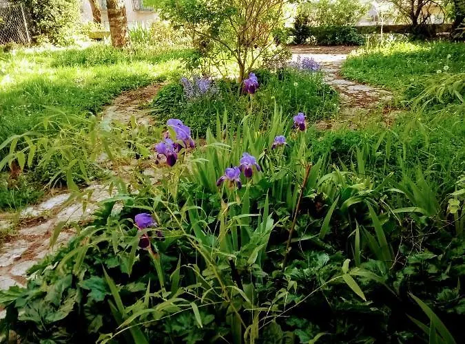 Maison Chopin Gramat