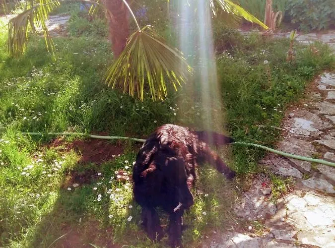 Maison Chopin Appartamento