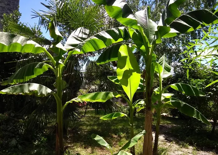 Appartamento Maison Chopin Gramat